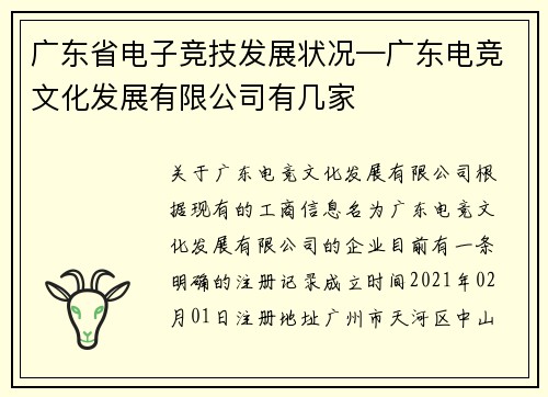 广东省电子竞技发展状况—广东电竞文化发展有限公司有几家